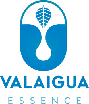 Valaigua